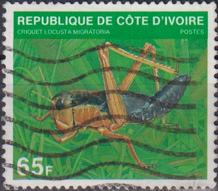 Côte d'Ivoire